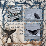 Shore Sophistication Easy Masks & Overlays Bundle