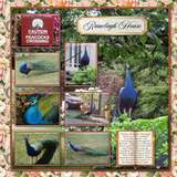 We Are Memory Keepers Bundle
