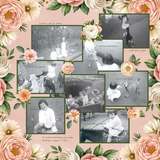 We Are Memory Keepers Bundle