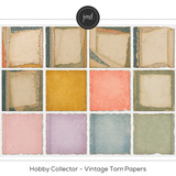 Hobby Collector Vintage Bundle