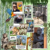 Jungle Flora & Fauna Elements