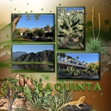 Desert Flora & Fauna Mega Bundle