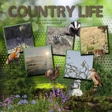 Forest Flora & Fauna Mega Bundle