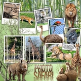 Savanna Flora & Fauna Elements