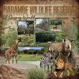 Savanna Flora & Fauna Elements