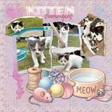 Cat Tales