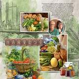 In the Food Tent - Decorative Splats Bundle