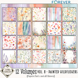 12 Volumes - Vol. 8  Painted Wildflowers