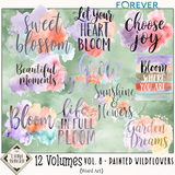 12 Volumes - Vol. 8  Painted Wildflowers