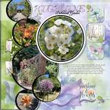 12 Volumes - Vol. 8  Painted Wildflowers