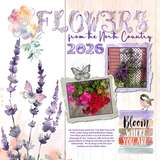 12 Volumes - Vol. 8  Painted Wildflowers