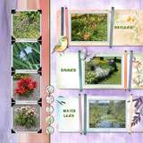 12 Volumes - Vol. 8  Painted Wildflowers