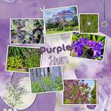 12 Volumes - Vol. 8  Painted Wildflowers