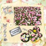 12 Volumes - Vol. 8  Painted Wildflowers