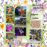 12 Volumes - Vol. 8  Painted Wildflowers
