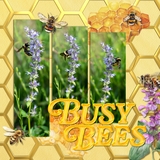 Honeycomb Alpha Set