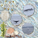 Oysters to Pearls Elements