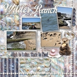 Oysters to Pearls Elements