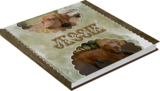 Artistic License Creative Covers 02 Bundle