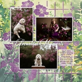 Flower Trellis Easy Masks & Overlays Bundle