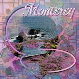 Flower Trellis Easy Masks & Overlays Bundle