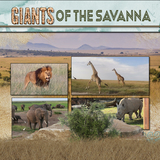 Savanna Flora & Fauna Elements