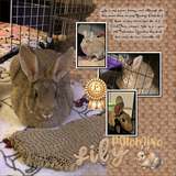 Best In Show - Animals