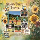 County Fair Magic Bundle