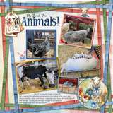 County Fair Magic Bundle