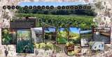 Wine Country Stains