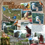 Forest Flora & Fauna Elements