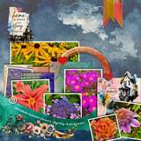 A Fluid State of Mind 8 - Found & Gathered Bundle