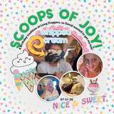 Ice Cream Party Enhanced Photo Clusters