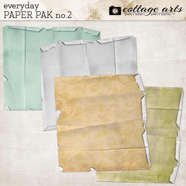 Everyday 2 Paper Pak Digital Art - Digital Scrapbooking Kits
