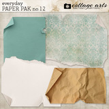 Everyday 12 Paper Pak