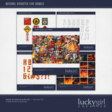 Natural Disaster Fire Bundle