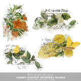 Sunset Harvest Scrapbook Bundle
