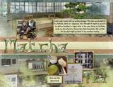 Artistic License Template Trio 17