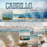 Artistic License Template Trio 17
