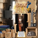 Pack & Move Elements