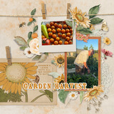 Sunflower Fields Pre-designed Pages