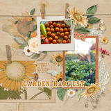 Sunflower Fields Pre-designed Pages