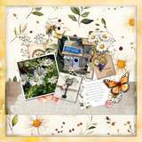 Summer Happy Mail