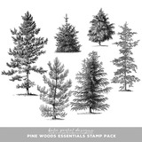 Pine Woods Scrapbooking Bundle