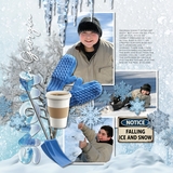 Natural Disaster Blizzard Bundle