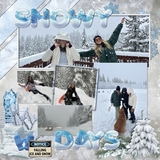 Natural Disaster Blizzard Bundle