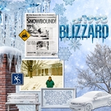Natural Disaster Blizzard Bundle