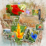 Artistic License Flippy Frames Bonus Bundle