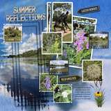 Artistic License Fresh Foundations - Photo ClusterMania 02