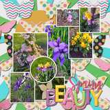 Everyday Enhanced EZ Pages - Spring